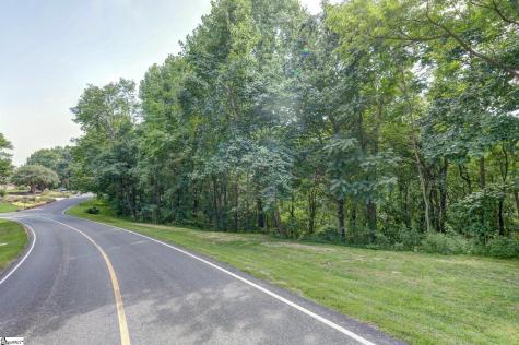00 Moss Pink Way Landrum SC 29356