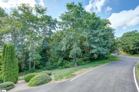 00 Moss Pink Way Landrum SC 29356