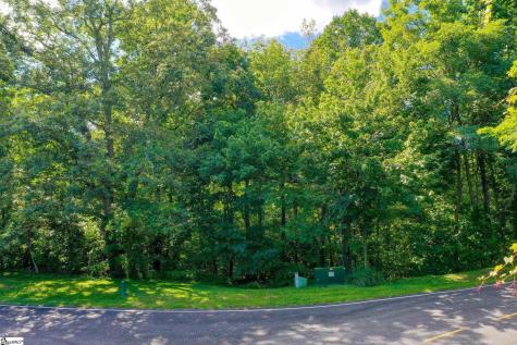 00 Moss Pink Way Landrum SC 29356
