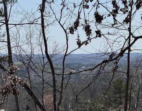 32497 Goforth Road Landrum SC 29356