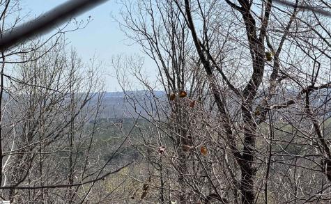 32497 Goforth Road Landrum SC 29356