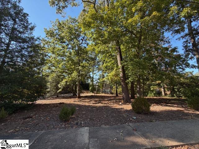 124 Conestee Avenue Greenville SC 29605
