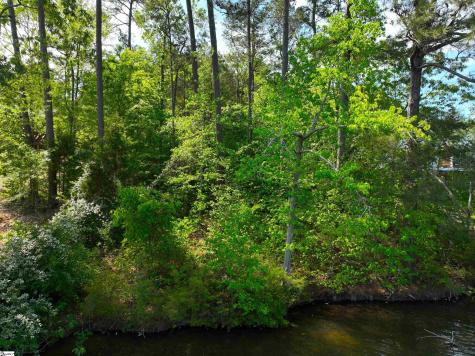 430 Herrington Drive Cross Hill SC 29332