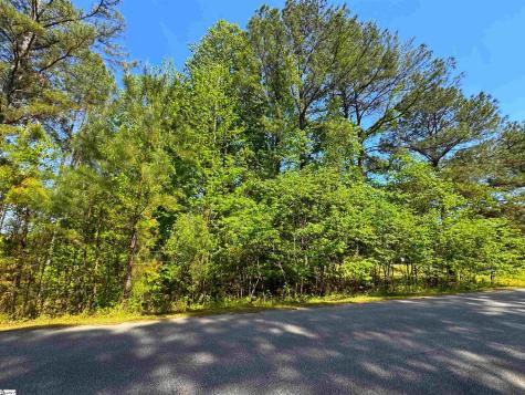 430 Herrington Drive Cross Hill SC 29332