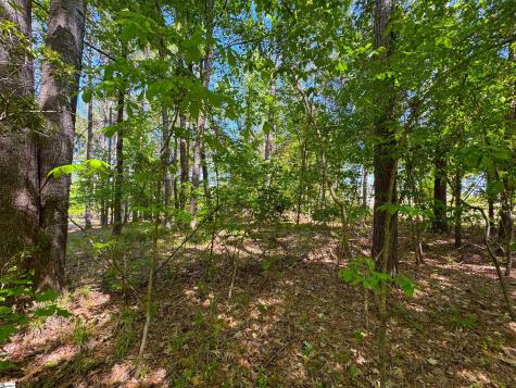 430 Herrington Drive Cross Hill SC 29332