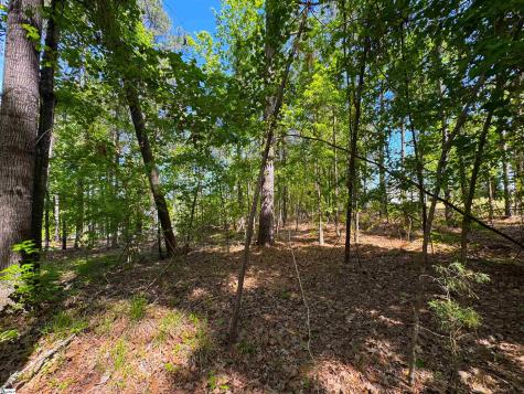 430 Herrington Drive Cross Hill SC 29332
