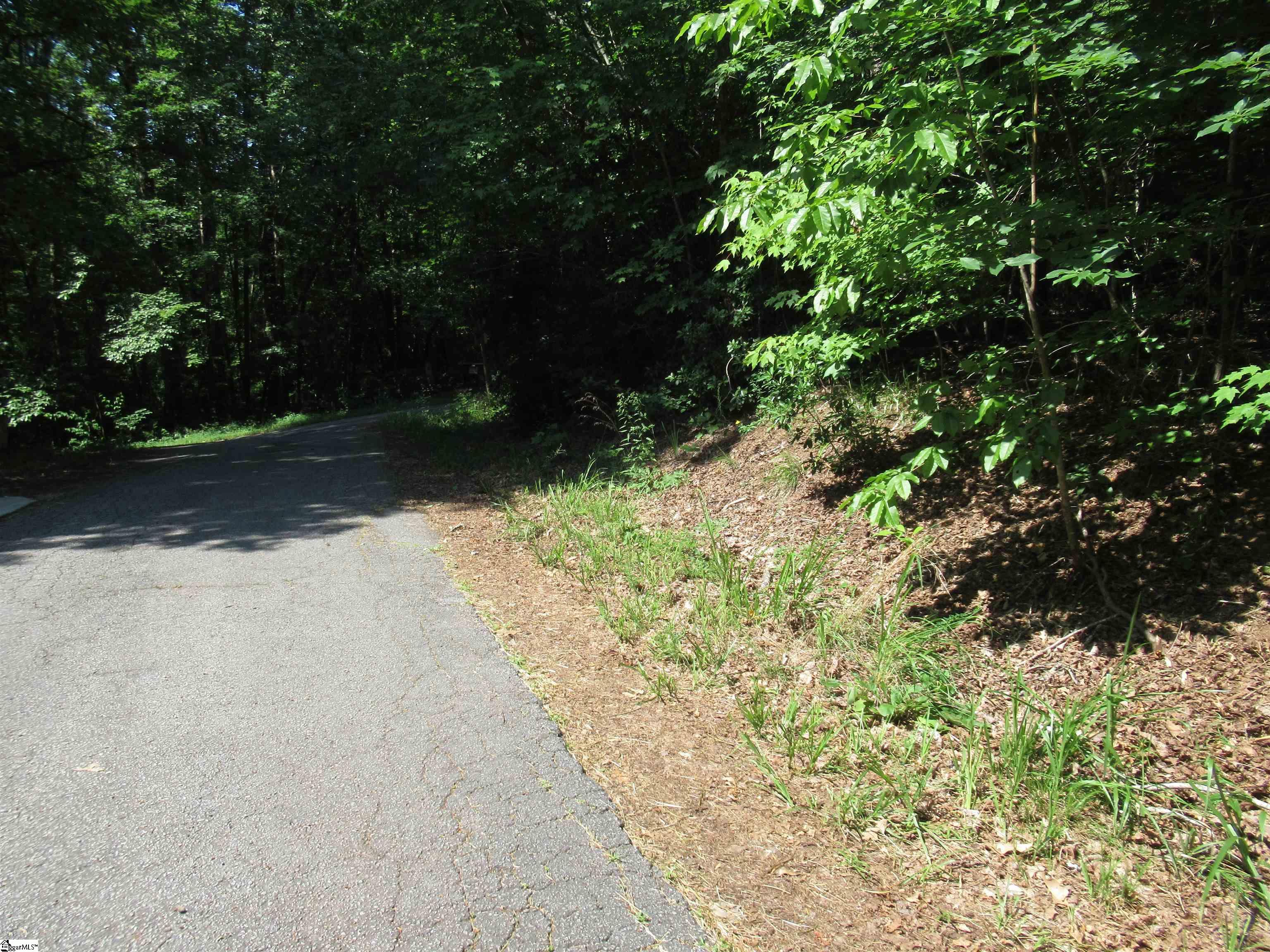 00 Gauley Falls Road Pickens SC 29671