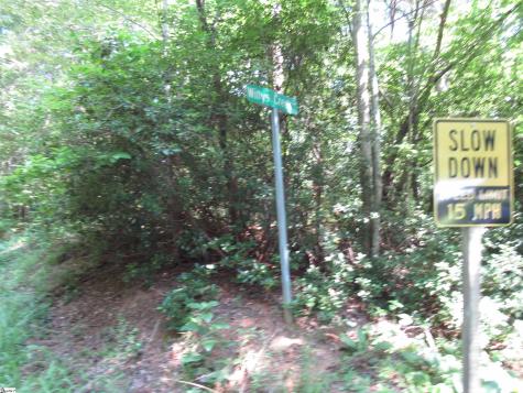 00 Gauley Falls Road Pickens SC 29671