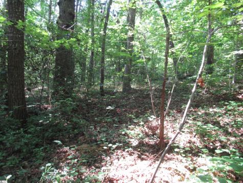 00 Gauley Falls Road Pickens SC 29671