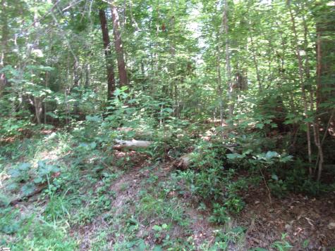 00 Gauley Falls Road Pickens SC 29671