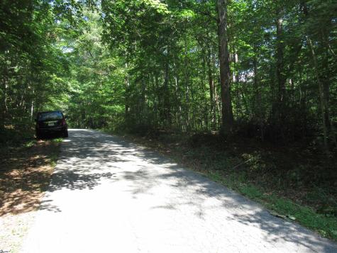 00 Gauley Falls Road Pickens SC 29671