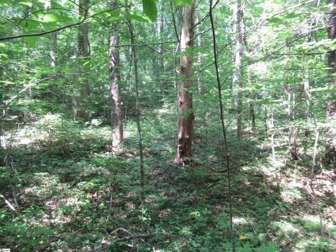00 Gauley Falls Road Pickens SC 29671