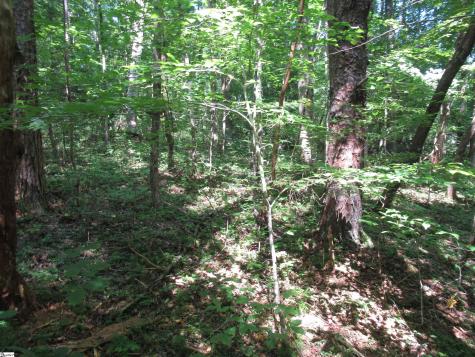 00 Gauley Falls Road Pickens SC 29671