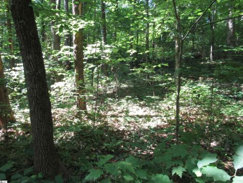 00 Gauley Falls Road Pickens SC 29671