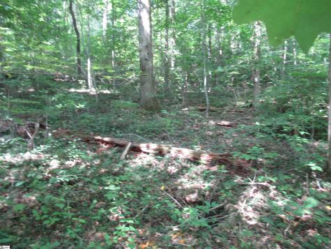 00 Gauley Falls Road Pickens SC 29671