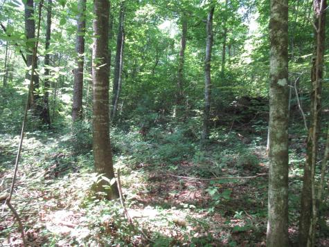 00 Gauley Falls Road Pickens SC 29671