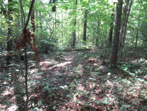 00 Gauley Falls Road Pickens SC 29671