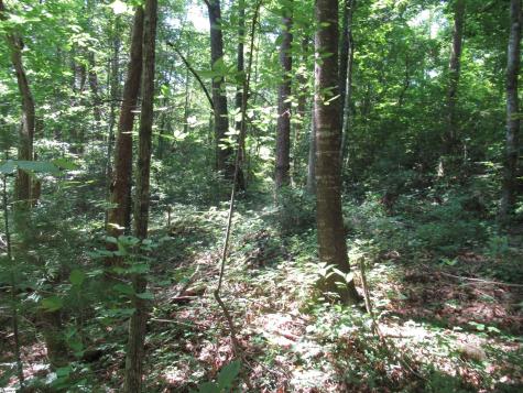 00 Gauley Falls Road Pickens SC 29671