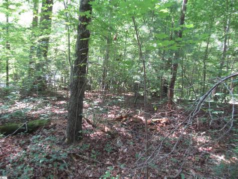 00 Gauley Falls Road Pickens SC 29671