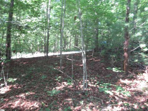 00 Gauley Falls Road Pickens SC 29671