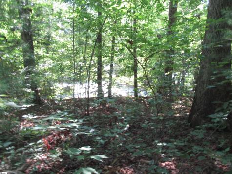 00 Gauley Falls Road Pickens SC 29671