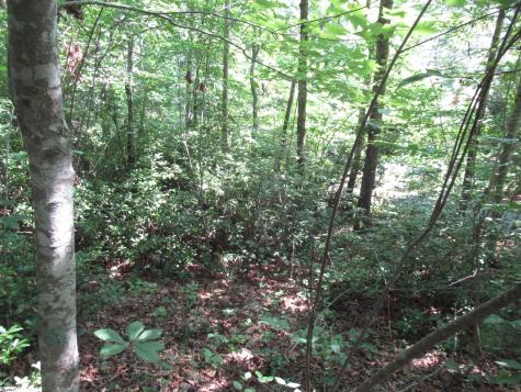 00 Gauley Falls Road Pickens SC 29671