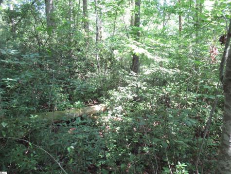 00 Gauley Falls Road Pickens SC 29671