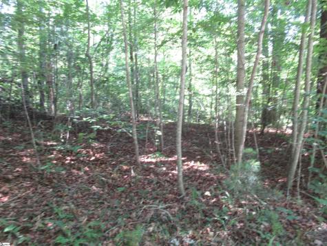 00 Gauley Falls Road Pickens SC 29671