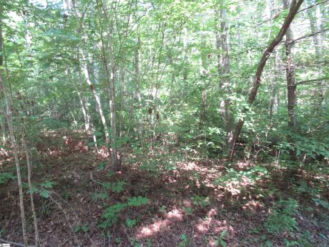 00 Gauley Falls Road Pickens SC 29671