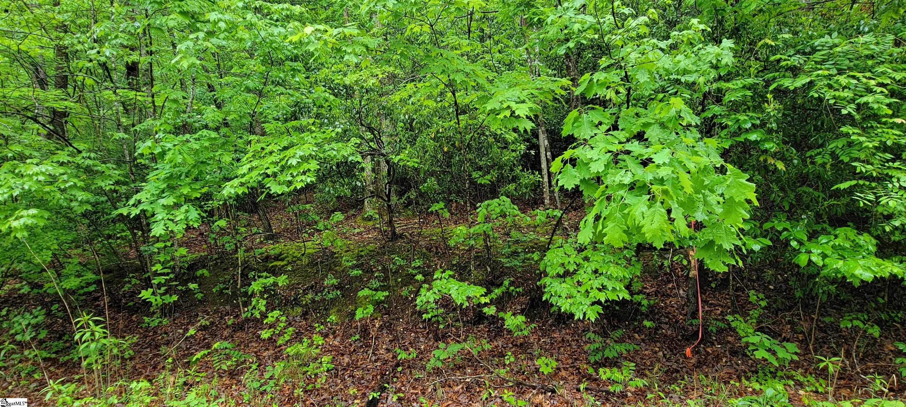 000 Glendlyon Circle Landrum SC 29356