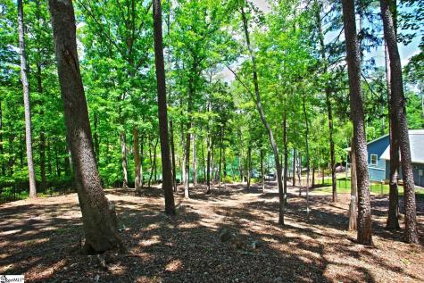 114 Cool Ridge Drive Seneca SC 29672