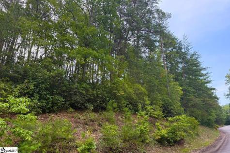 122 Teaberry Lane Sunset SC 29685