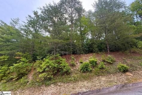 122 Teaberry Lane Sunset SC 29685