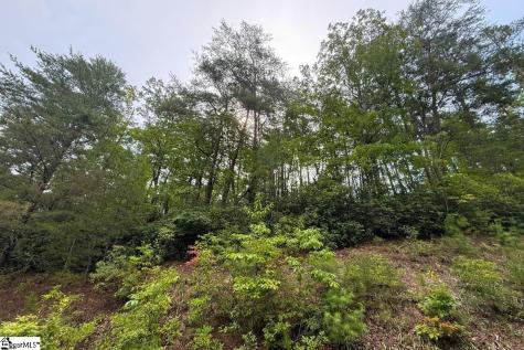 122 Teaberry Lane Sunset SC 29685