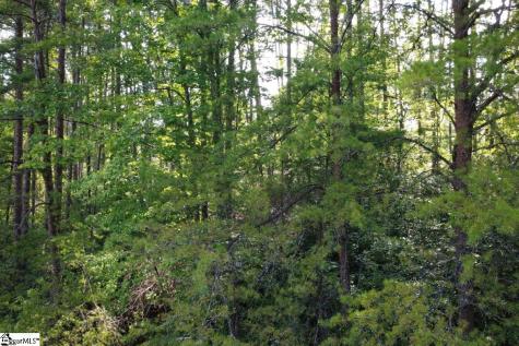 122 Teaberry Lane Sunset SC 29685