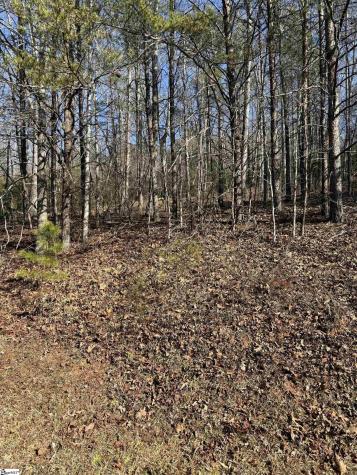 25 Lake Hill Lane Travelers Rest SC 29690