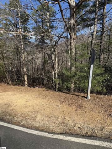 25 Lake Hill Lane Travelers Rest SC 29690