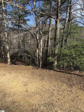 25 Lake Hill Lane Travelers Rest SC 29690