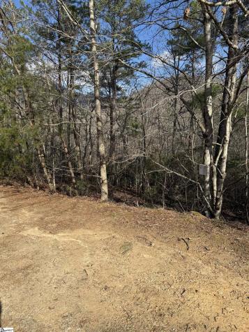 25 Lake Hill Lane Travelers Rest SC 29690