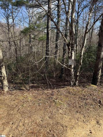 25 Lake Hill Lane Travelers Rest SC 29690