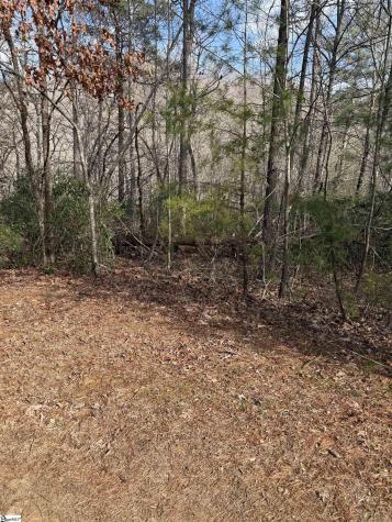 25 Lake Hill Lane Travelers Rest SC 29690