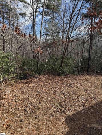 25 Lake Hill Lane Travelers Rest SC 29690
