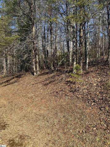 25 Lake Hill Lane Travelers Rest SC 29690