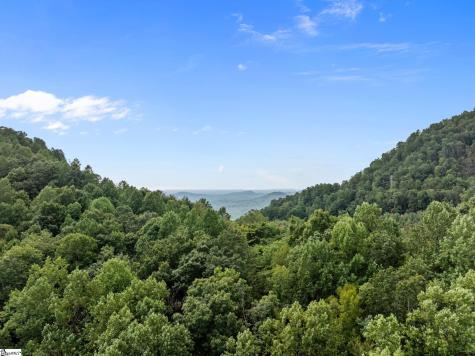 1 Rixhaven Drive Saluda NC 28773