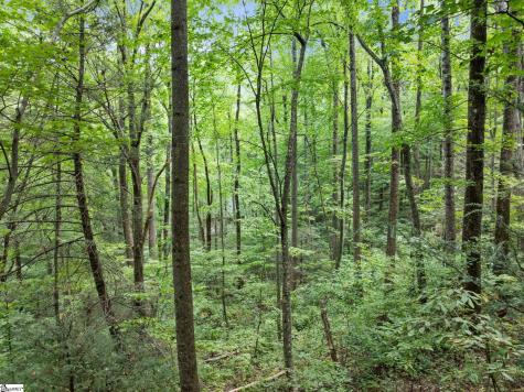 1 Rixhaven Drive Saluda NC 28773