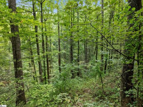 1 Rixhaven Drive Saluda NC 28773