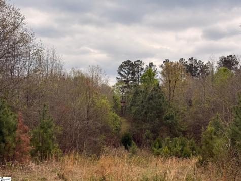 1515 Flat Rock Road Starr SC 29684