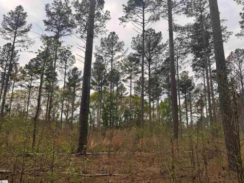 1515 Flat Rock Road Starr SC 29684