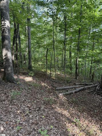 00 Daves Valley Road Pickens SC 29671