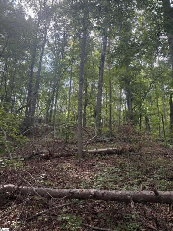 00 Daves Valley Road Pickens SC 29671